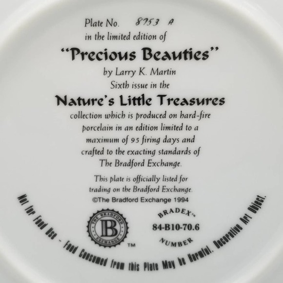 Precious Beauties Hummingbird Plate bird - Picture 6 of 6